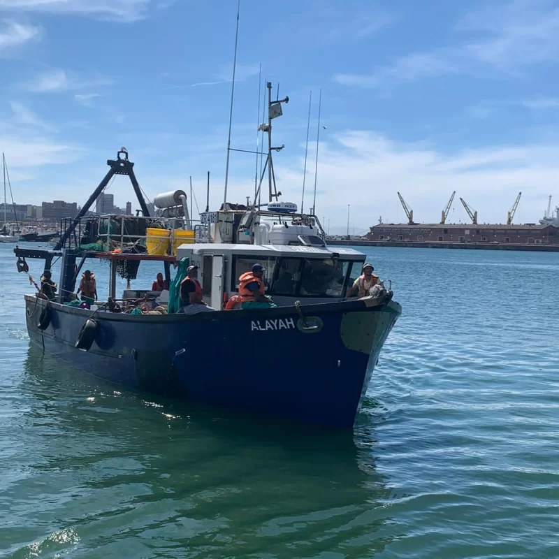 The Alayah trawler
